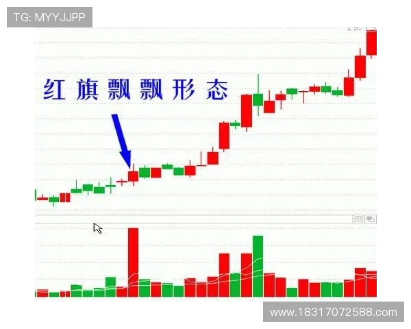 武汉排球队在挑战赛中的速度表现分析与点评