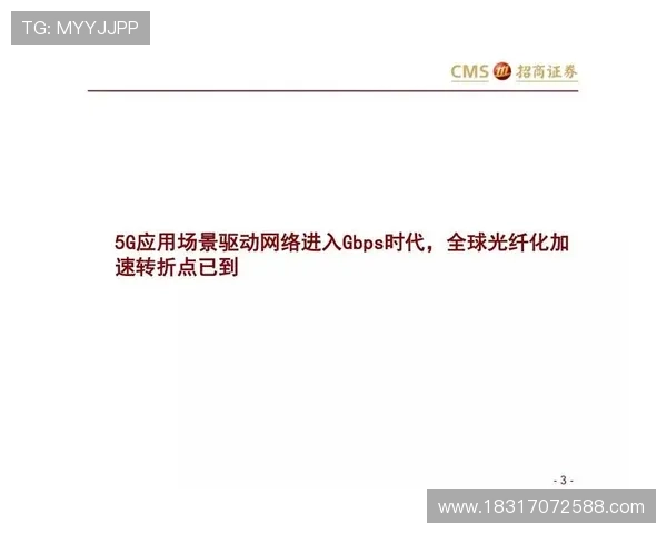 深度对话李磊探寻网球人生的奋斗与梦想之路