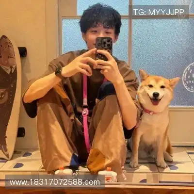 蓬盈晓