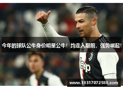 今年的球队公牛身价明星公牛！均走入期前，强势崛起！