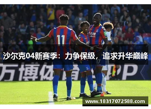 沙尔克04新赛季：力争保级，追求升华巅峰