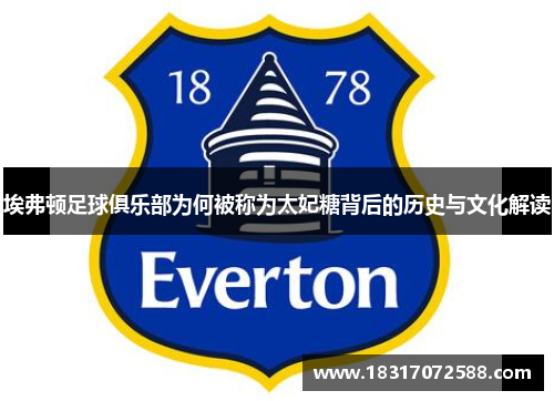 埃弗顿足球俱乐部为何被称为太妃糖背后的历史与文化解读